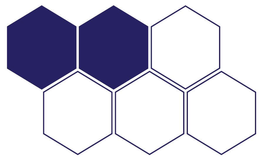 6 hexagons with 2 colored in 