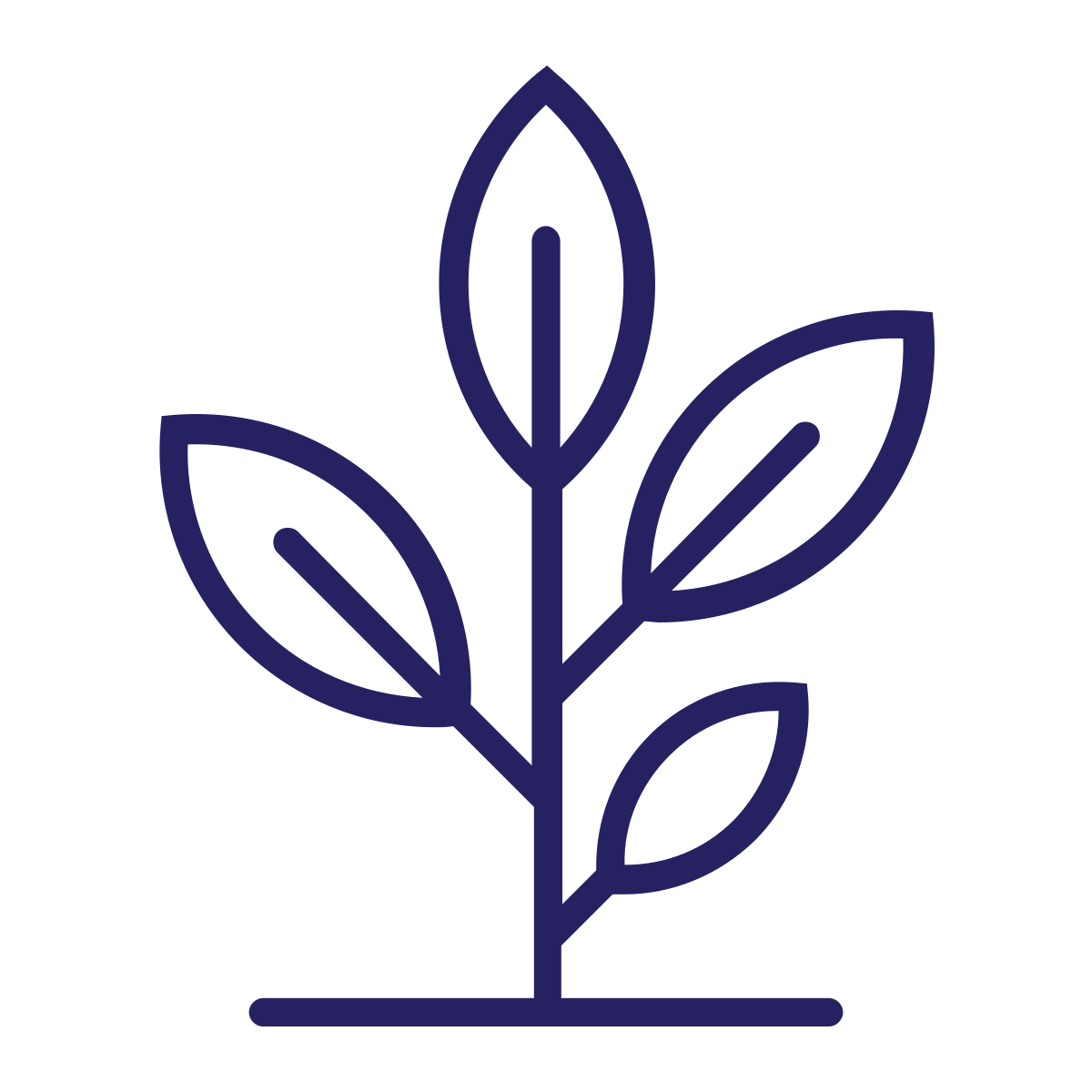 plant